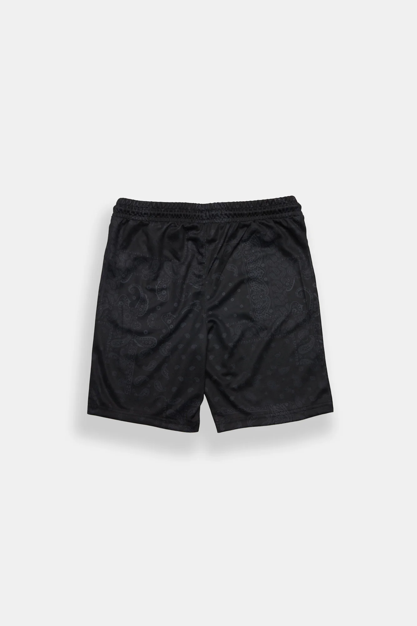 Arsenic Youth Bandana Print Mesh Shorts - Image 3